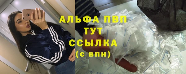 альфа пвп Новодвинск