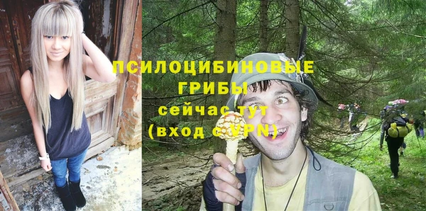 герыч Арсеньев