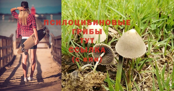 герыч Арсеньев