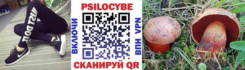 Галлюциногенные грибы Psilocybine cubensis  Сольвычегодск 