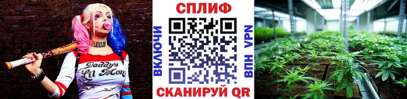 Канабис Bruce Banner  где купить наркотик  Сольвычегодск 